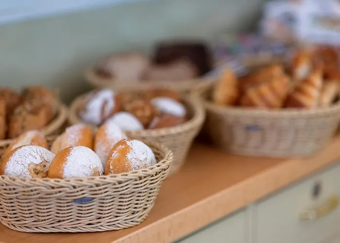 מלון Minerva פרייבורג